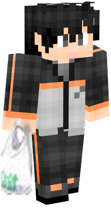 我的世界莱月昂皮肤合集