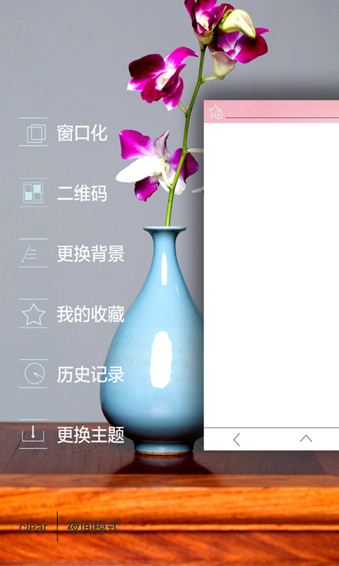 雨见窗口化浏览器