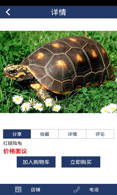 发展名龟商城