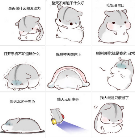 我大概是只废鼠了表情包