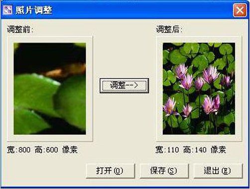 2寸照片生成器