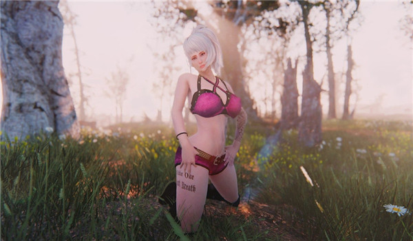 辐射4COSPLAY服装MOD