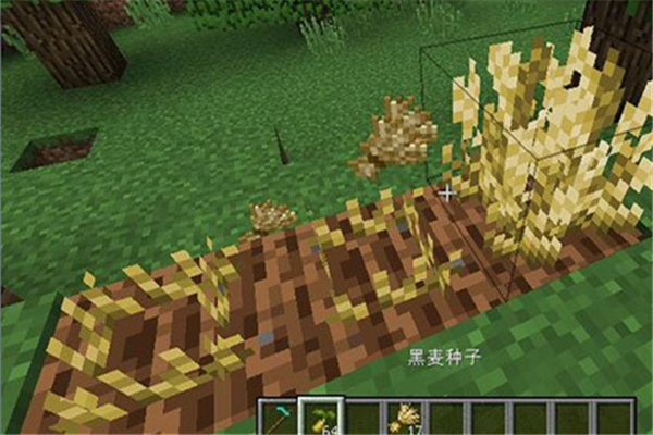 我的世界右键收获作物MOD下载