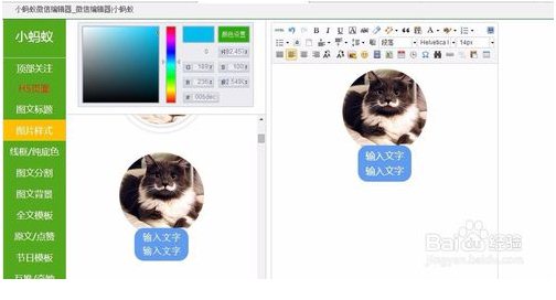 小蚂蚁微信编辑器下载