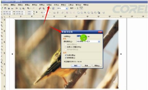 CorelDRAW怎么处理位图 CorelDRAW处理位图的方法
