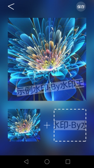 水印王app