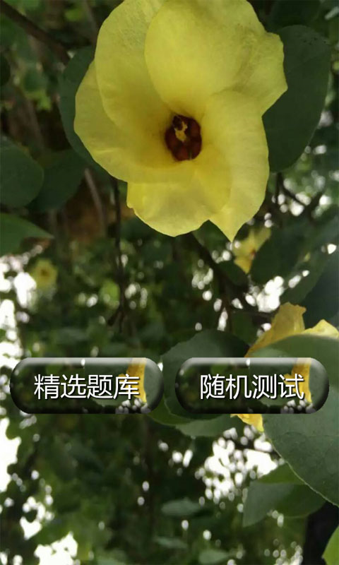 内科护理学试题及答案