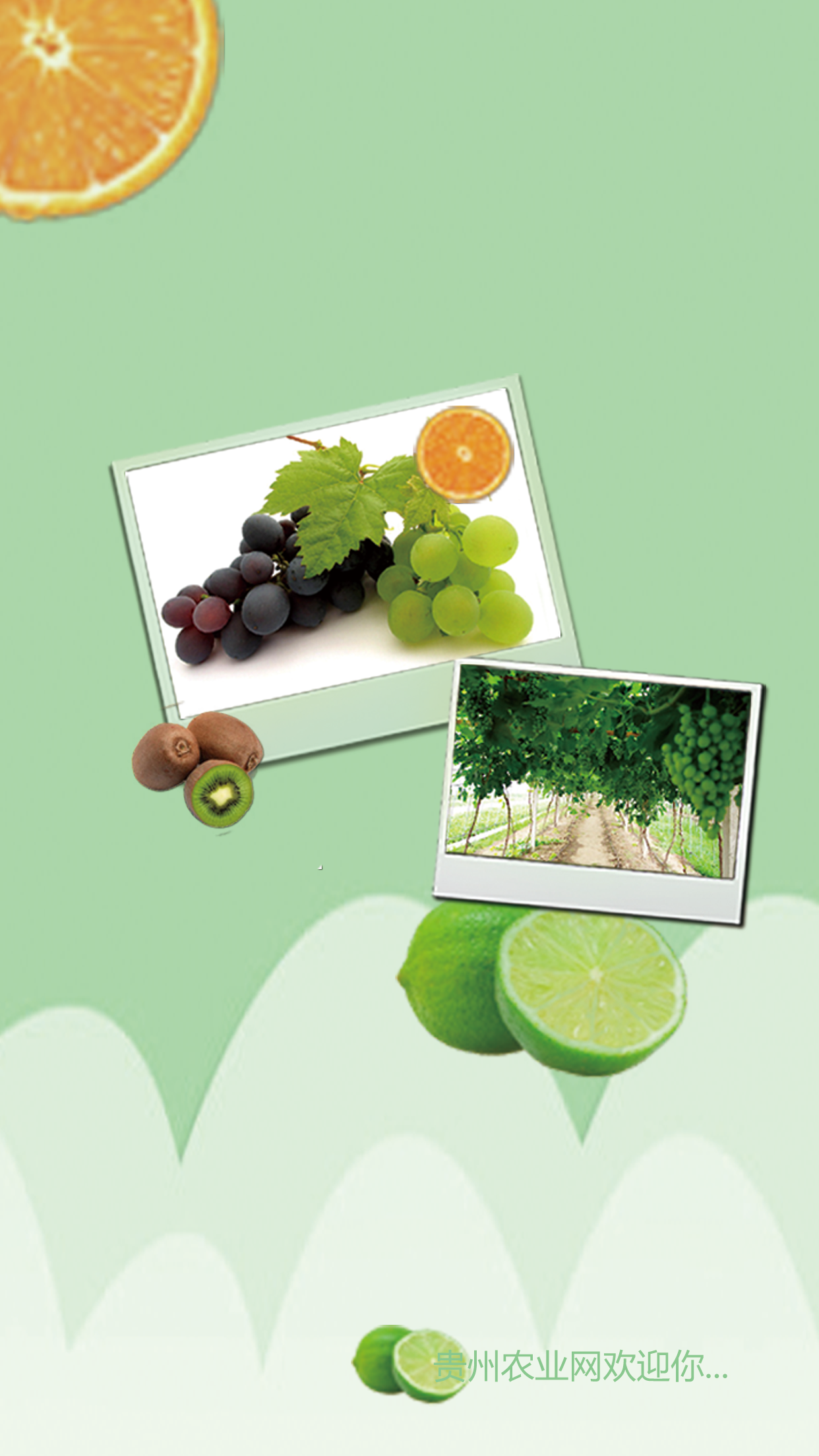 贵州农产品网下载