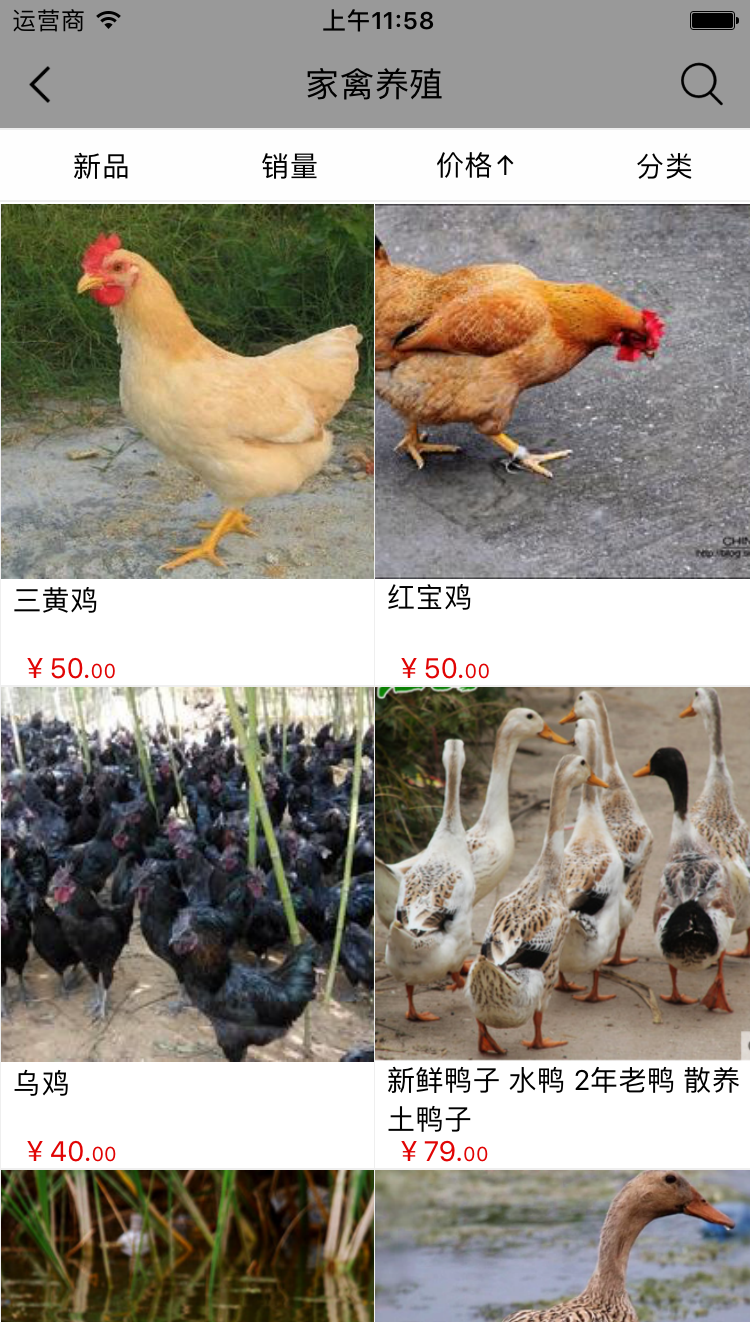 河南畜牧养殖网