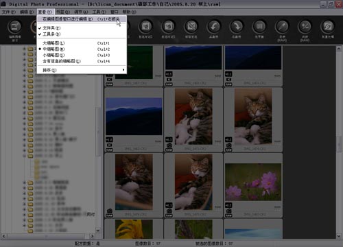 Digital Photo Professional