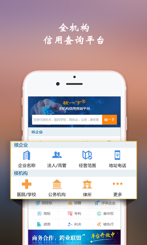 核一下app