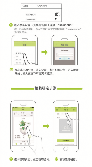 花小白