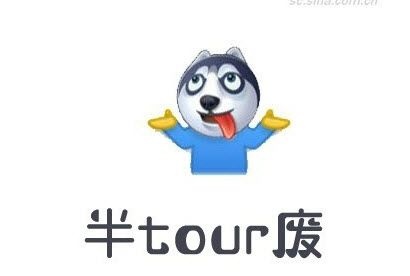 半tour废英语表情包