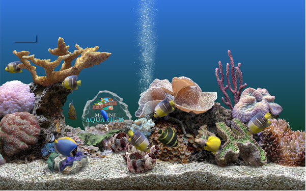 1 如果你曾安装过旧版本或英文原版的 Aquarium ,建议先将之卸载,并删除其安装目录,再安装本汉化版本,以免出现安装或使用错误。 2 Aquarium 是 DirectX 程序,可以运行于 Windows 95、98、ME、2000 与 XP 操作系统中,但是不能运行于 Windows NT 4 中。其它系统与设备要求是:奔腾 II 以上级别处理器、DirectX 8 、3D 性能良好的显示卡(建议显存大于 16 Mb)。对于笔记本电脑而言,使用不低于 GeForce2 Go 、Rage Mobil