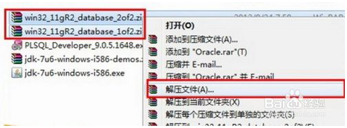oracle 11g