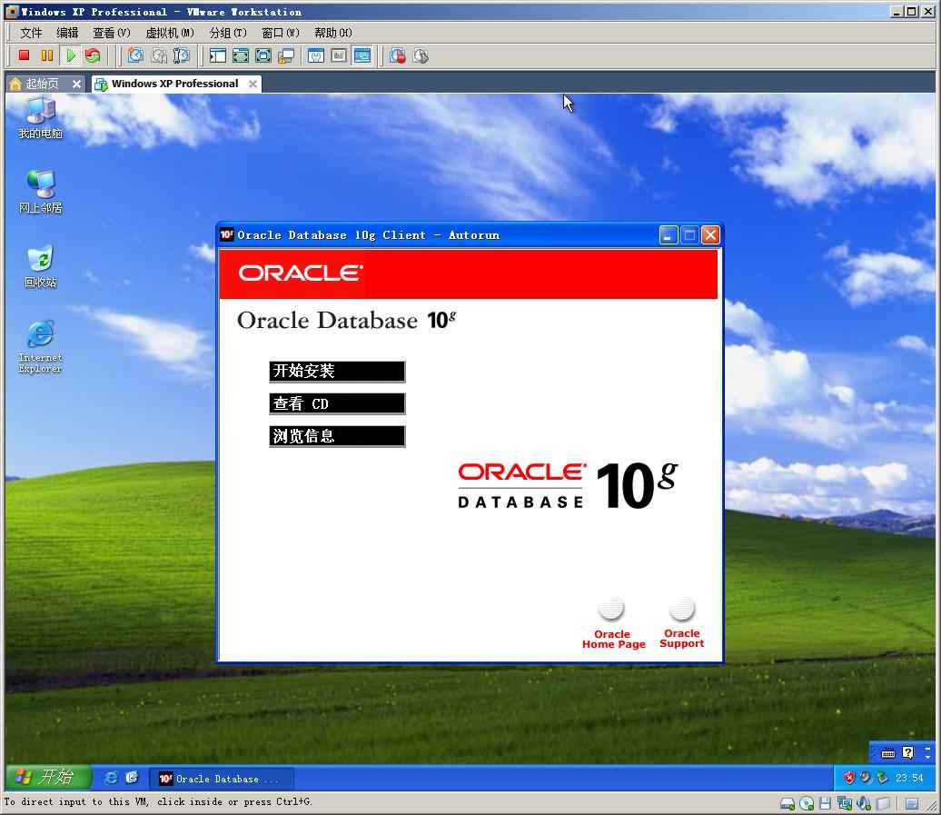 oracle 10g