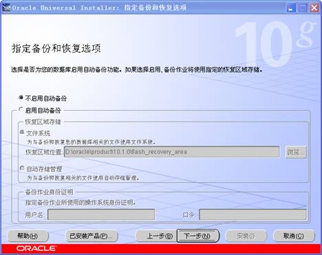 oracle 10g