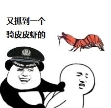 老子手撕了你的皮皮虾表情包