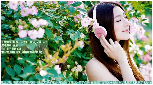 小葫芦斗鱼弹幕点歌插件 v3.2.14 绿色版 怎么用