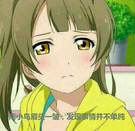 南小鸟表情包