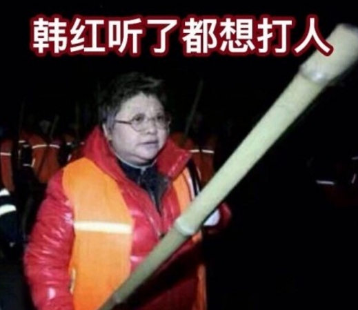 韩红听了打人表情|韩红听了打人最新表某人失礼好问津表情包图片