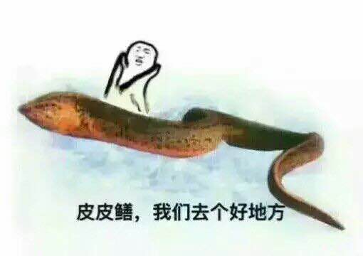 黄鳝表情包