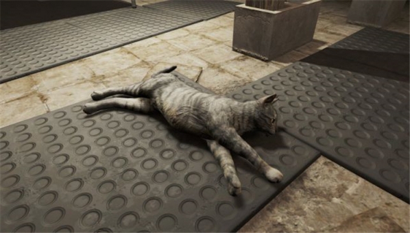辐射4猫咪增强mod下载 