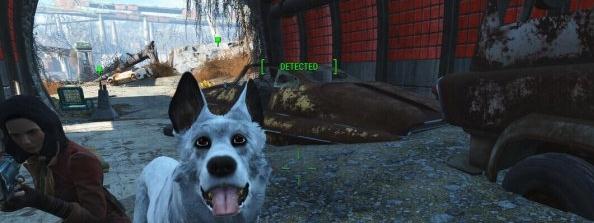 辐射4宠物MOD