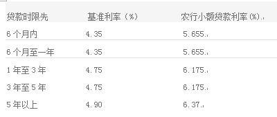 农行小额贷款