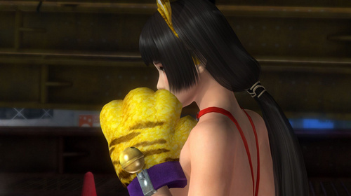 死或生5Naotura布偶虎清凉MOD