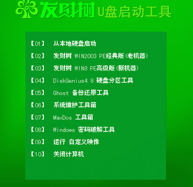 发财树u盘启动盘制作工具