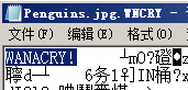 勒索软件专杀