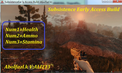 Subsistence修改器