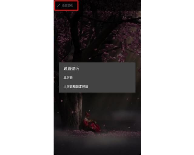火萤视频桌面手机版