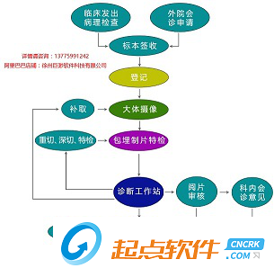 病理信息管理系统