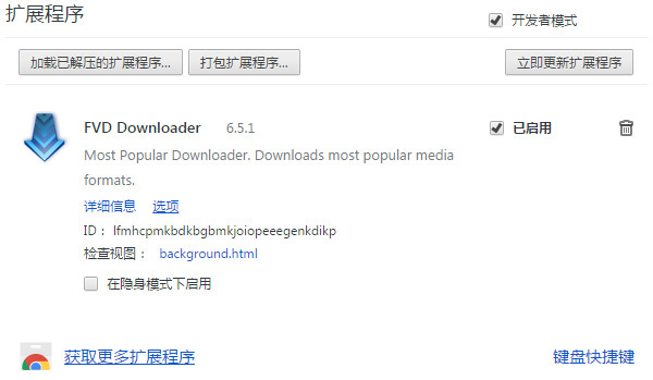 fvd downloader chrome
