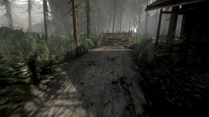 反射的命运 中文版