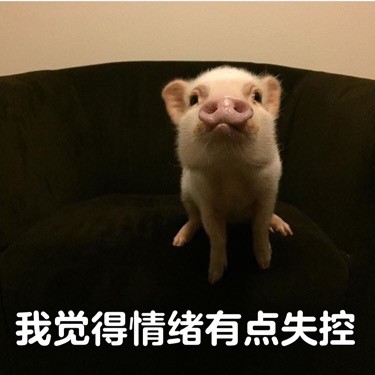 我觉得不行表情包