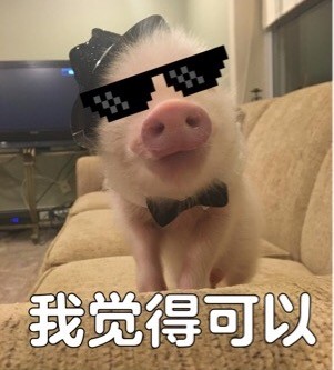 我觉得不行表情包