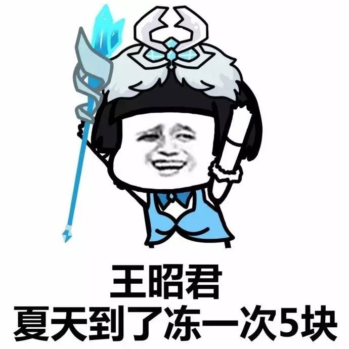 我王昭君冻一次五块钱表情包