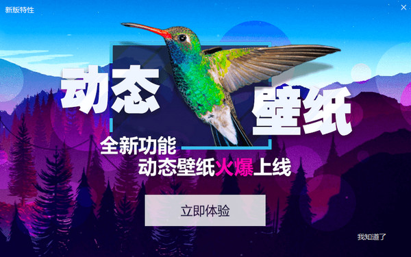 小鸟壁纸下载