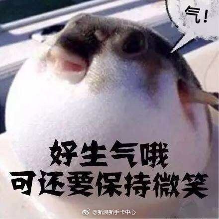 河豚气鼓鼓表情包