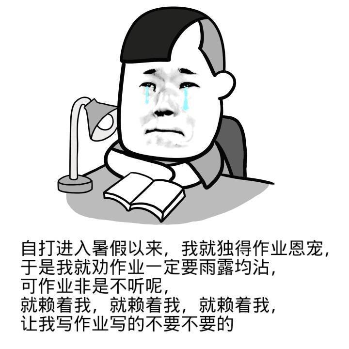 暑假补作业表情包