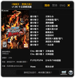 海贼王燃烧之血修改器