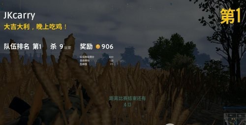 绝地求生去草丛补丁下载 v1.0 免费版