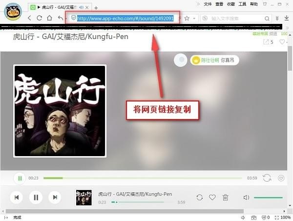 果核Echo回音下载器