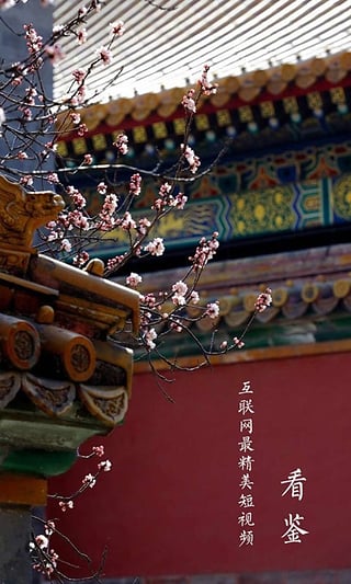 看鉴历史app