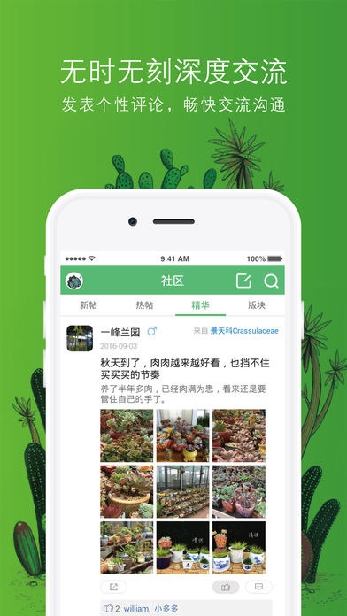 多肉大本营