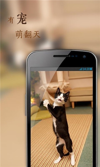 花瓣网app
