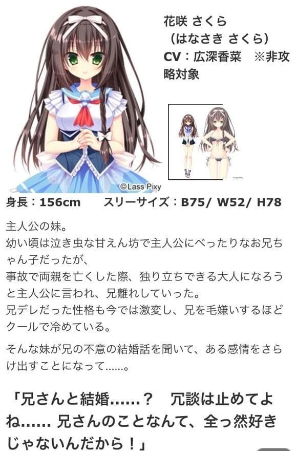 Pure Marriage纯洁的婚姻 汉化硬盘版